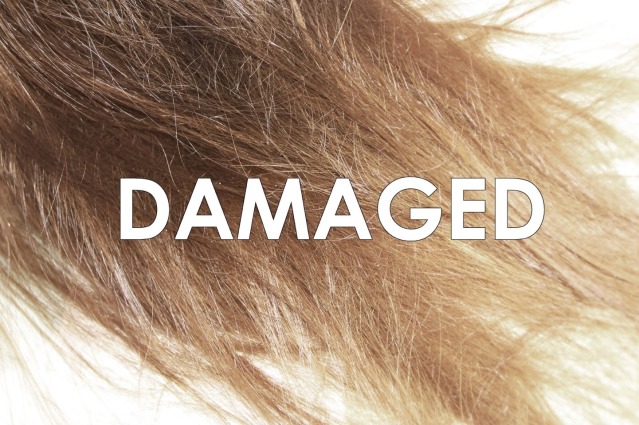Restore-Your-Damaged-Hair